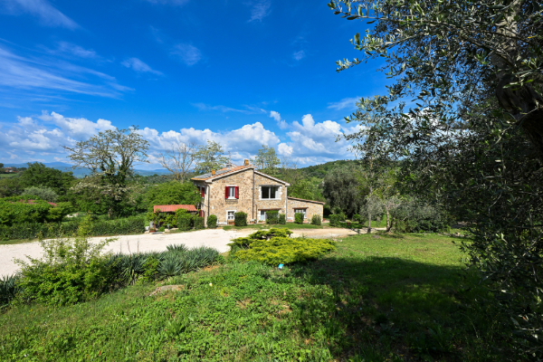 casa madre Daino Bianco